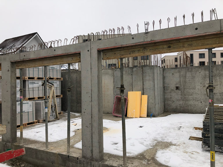 MFH Dulhaus Menznau Januar